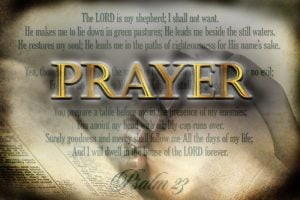 Praying Hands bible