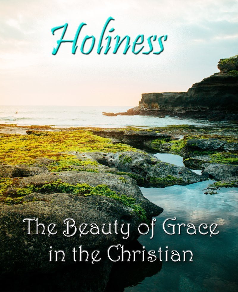 Holiness: The Beauty of Grace in the Christian 1